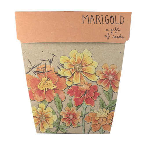 Gift of Seeds - Marigold
