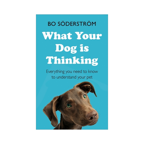 What Your Dog Is Thinking - Everything You Need to Know to Understand Your Pet